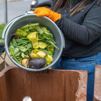 Reciclaje Orgánico: Desde septiembre, Drop Off tiene nuevos días y horarios