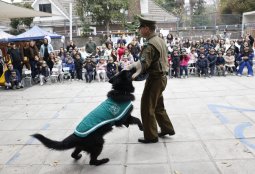 Grupo Canino de Carabineros visitó Jardín El Aguilucho para conmemorar los 98 años de la institución