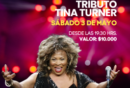 Tributo Tina Turner