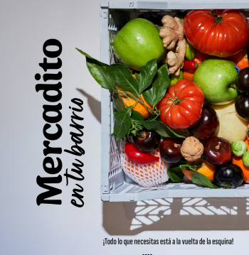 Mercadito en tu Barrio (Micro Ferias libres)