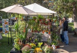 Vive la Primavera: Emprendimientos y talleres en Calle Santa Magdalena