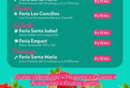 Creador Local