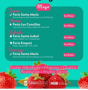 Creador Local
