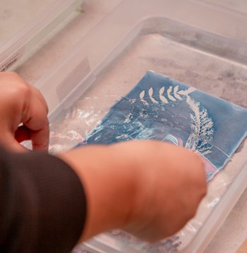 Taller de Cianotipia sobre papel