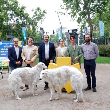 Con más de 100 actividades gratuitas Providencia recibe el verano 2026