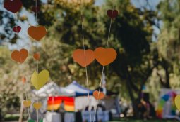 Febrero para celebrar el amor: panoramas gratuitos en las Bibliotecas de Providencia