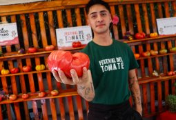 Festival del Tomate 2026: Llega este fin de semana a Providencia