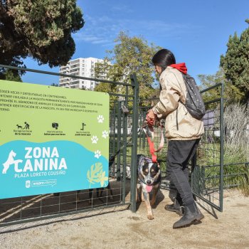 Zona canina de Plaza Loreto Cousiño será completamente remodelada