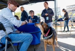 ¡Llegó abril! Conoce las fechas de los operativos veterinarios gratuitos