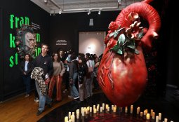 ¡Nuevas exposiciones en Fundación Cultural de Providencia!