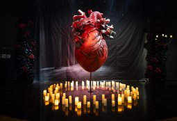 ¡Nuevas exposiciones en Fundación Cultural de Providencia!