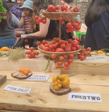 Feria Mercado Verde Urbano