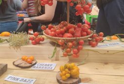 Feria Mercado Verde Urbano
