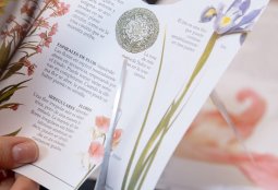 Collage y arquetipos del tarot
