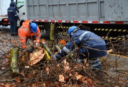 Ante la emergencia: Activa el modo invierno