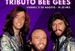 Tributo a bee gees