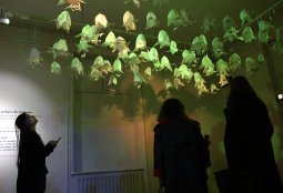 Exposición "El ciclo de dar y recibir"