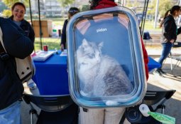Conoce las fechas de los operativos veterinarios gratuitos de septiembre