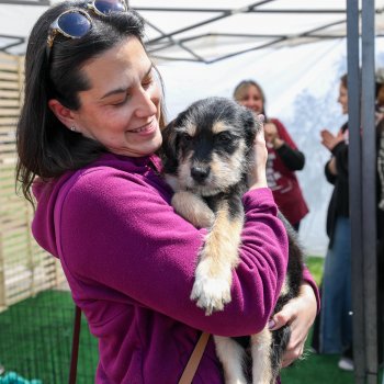 Así se vivió la primera Jornada de Adopción y Tenencia Responsable